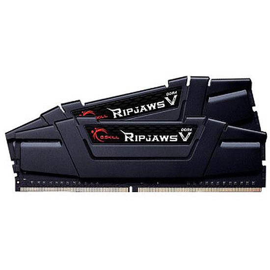 G.Skill s’est taillé une réputation qui n’a rien à envier à celle de Corsair ou Crucial. Également garanties à vie, les modules de mémoire G.Skill DDR4 Ripjaws V offrent des performances de haute volée – en vitesse et en consommation – supérieures à la DDR3. Pour tirer le meilleur parti de votre processeur, rejoignez les adeptes de la marque G.Skill.