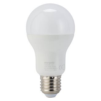Ampoule LED – E27 – 14 W – Standard