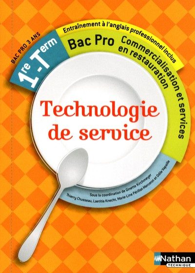 TECHNO DE SERVICE 1E/TERM BPRO