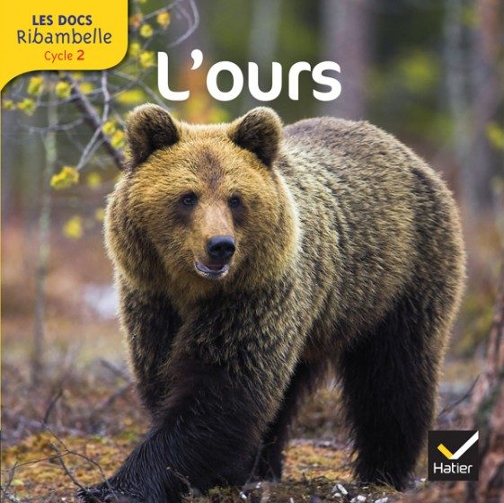 RIBAMBELLE – GS/CP/CE1 – ALBUM DOCUMENTAIRE : L’OURS