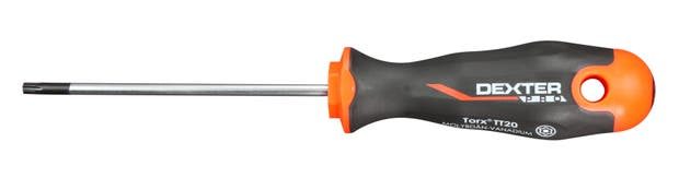 Tournevis tamper torx TT20, L.100 mm DEXTER PRO