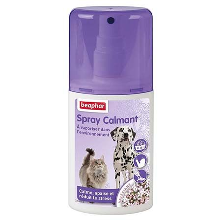 Spray calmant pour chiens et chats