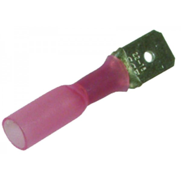 20 Cosses VDM fiche male – Rouges