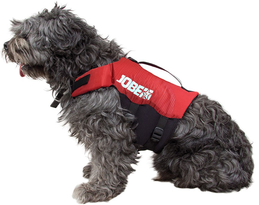 Gilet Jobe pour chien