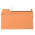 Enveloppes de correspondances Autocollante 120 g/m² Sans Fenêtre Clairefontaine – 20 / Paquet