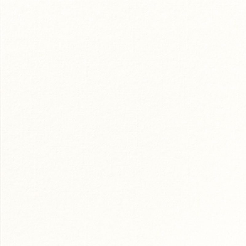 Serviette Dunisoft / Airlaid blanc 48 x 48 par 300