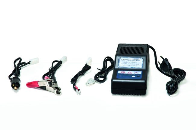 Chargeur de batterie 12V pour autoportées et miniriders, 8 W