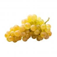 Raisin Chasselas