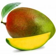 Mangue Kent