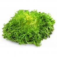 Salade Frisée