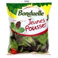 Salade jeunes pousses Bonduelle