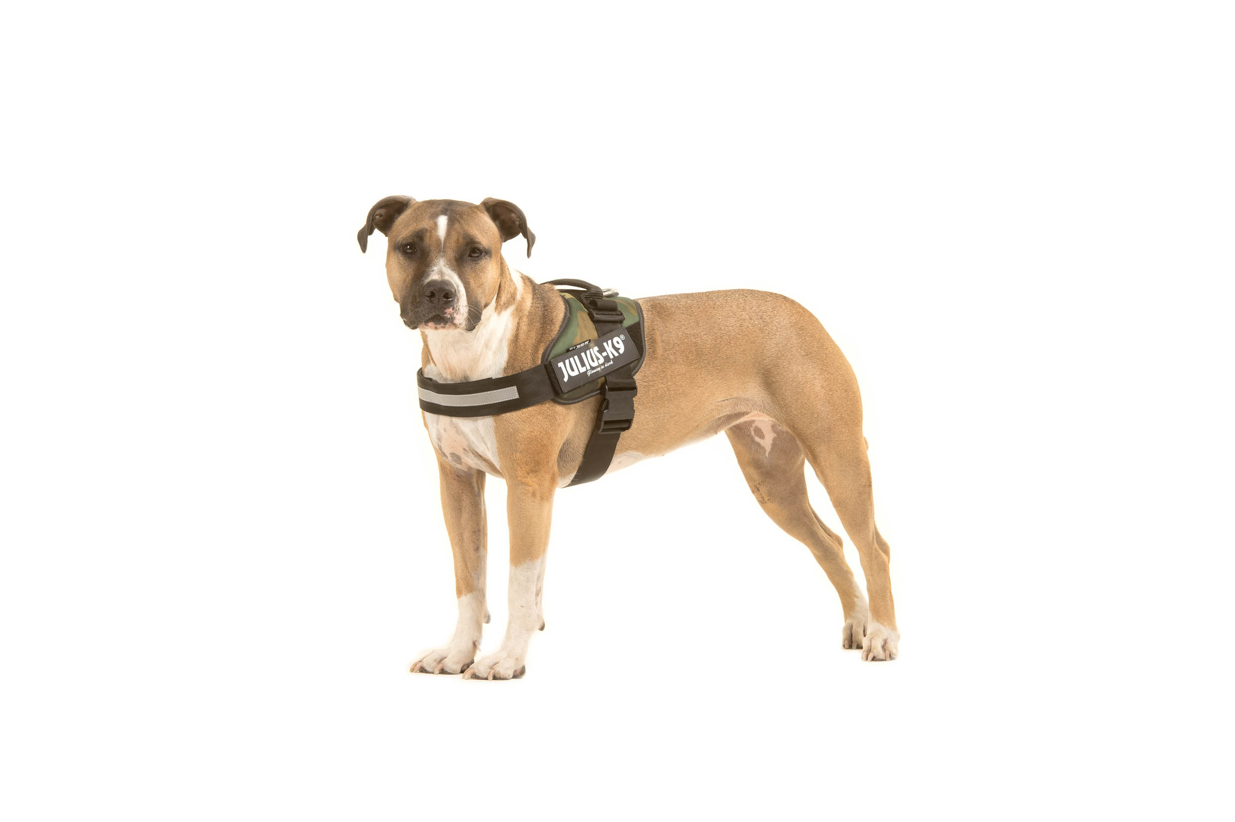 Harnais Julius K9® IDC-Power Camouflage
