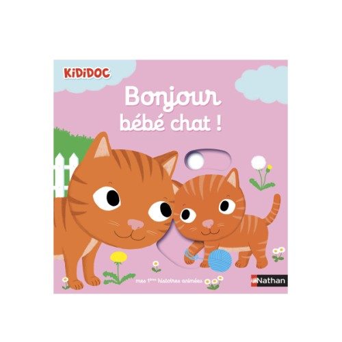 Livre Bonjour bébé chat !