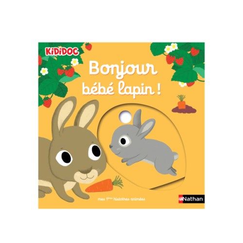 Livre Bonjour bébé lapin !