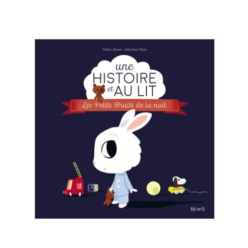 Livre Les petits bruits de la nuit Une histoire et au lit