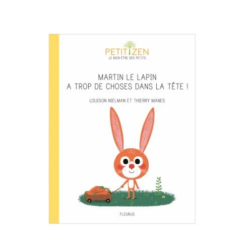 Livre Martin le lapin a trop de choses dans la tête