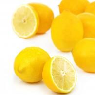 Citrons jaunes Primofiori Petit Prix