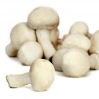 Champignons blancs Petit Prix