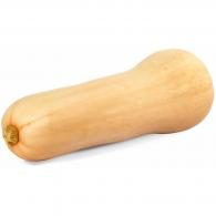 Butternut Bio