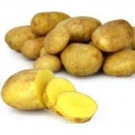 Pommes de terre Filière Qualité Carrefour