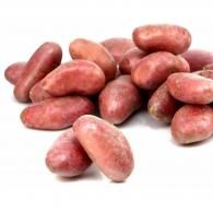 Pommes de terre rouges Filière Qualité Carrefour