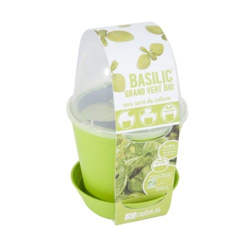 Pot cloche basilic BIO