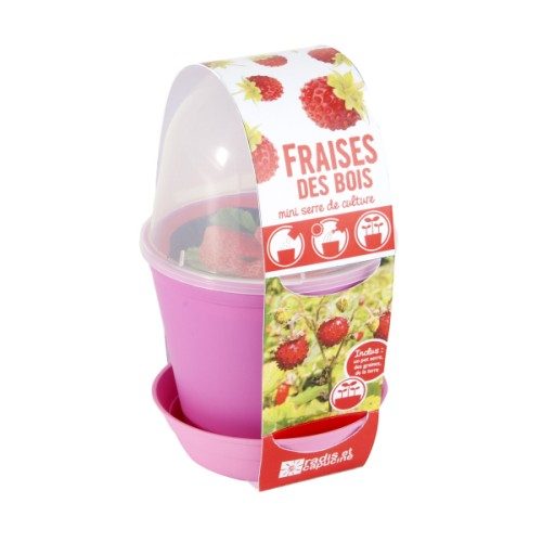 Pot cloche fraisiers BIO