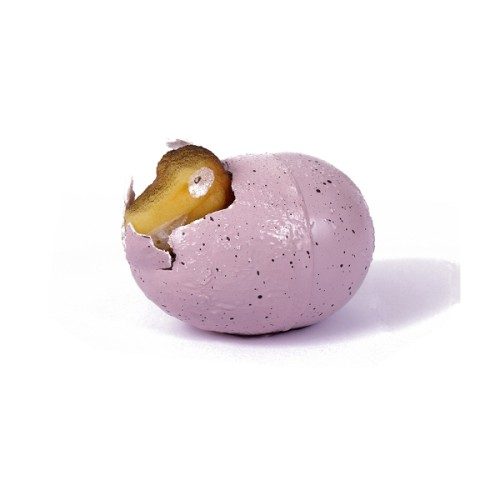 Oeuf Dinosaure