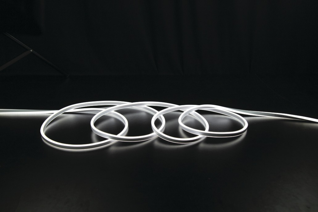 NEONLED 30M 120 LED/M BLANC COUPE 1M 230V