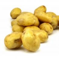 Pommes de terre blanches non lavées Petit Prix