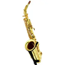 Forestone RX Unlacquered Alto Sax