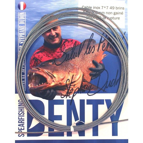 Câble inox Denty spearfishing 7*7 – 2.0 mm non gainé