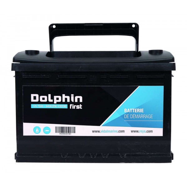 Batterie Dolphin First 60A
