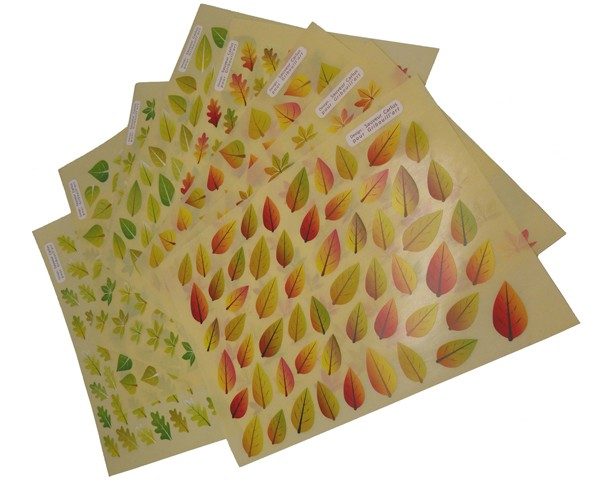 479 GOMMETTES FEUILLES D’AUTOMNE ET PRINTEMPS