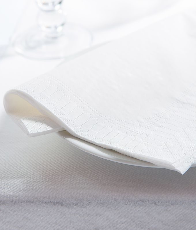 Serviette blanche 48 x 48 3 F par 600