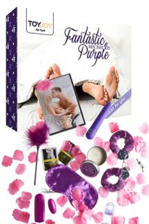 Fantastic Purple – sex toy kit