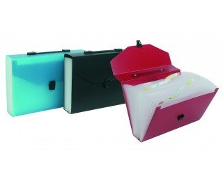 Trieur extensible – VIQUEL – 25 compartiments – Coloris aléatoires