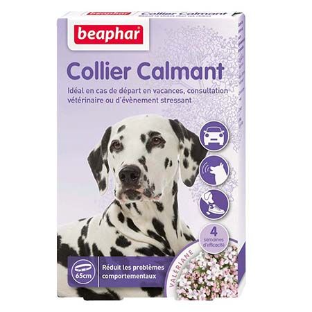 Collier calmant pour chiens