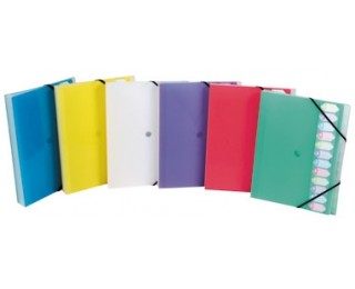 Trieur à fenêtre – VIQUEL – 12 compartiments – Coloris aléatoires