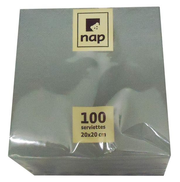 Serviette béton 2F par 100