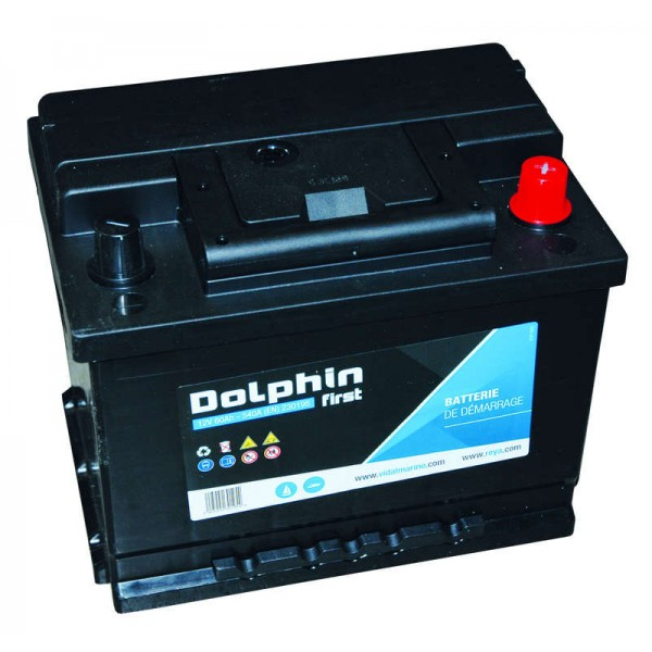 Batterie Dolphin First 50A