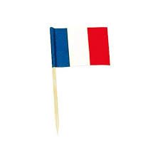 Pique drapeau FRANCE par 144