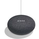 Google Home Mini Assistant Vocal Charbon