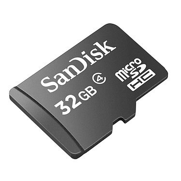 SanDisk Carte mémoire microSDHC 32 Go