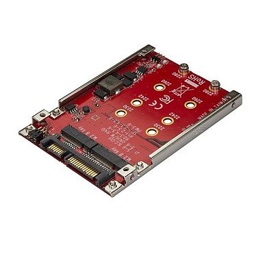 StarTech.com Adaptateur pour 2 disques SSD M.2 vers SATA dans baie de 2,5″ – RAID