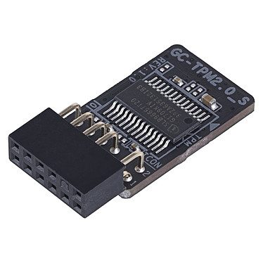 Gigabyte GC-TPM2.0_S