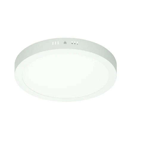 ECD Germany Plafonnier LED 18W AC 220-240 1121 lumens 220 mm angle de 160 ° IP53 blanc chaud