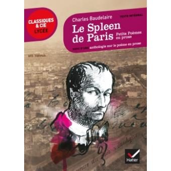 Le Spleen de Paris (Petits poèmes en prose)