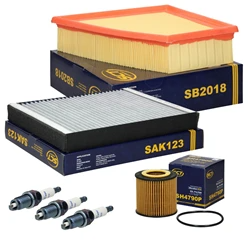 Inspektionspaket Seat