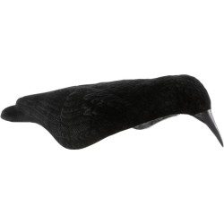 COQUILLE CORBEAU FLOQUE GMT